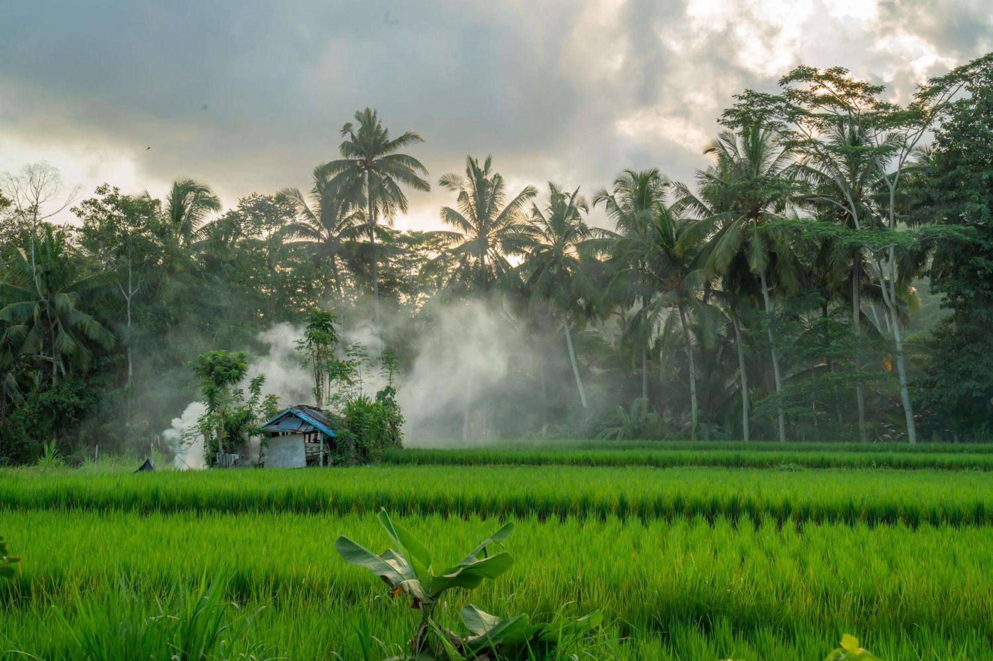 Kampung Uma Dawa Villas And Spa Ubud Exterior foto