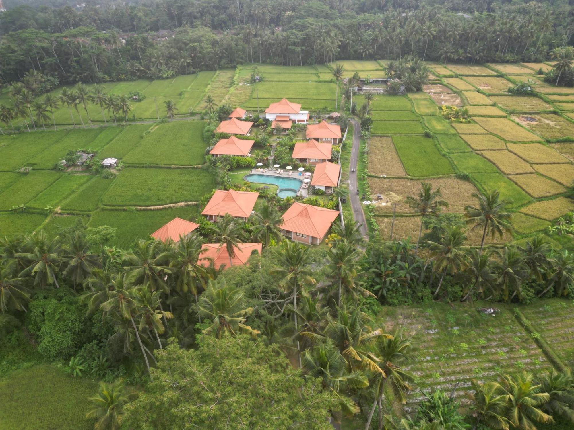 Kampung Uma Dawa Villas And Spa Ubud Exterior foto